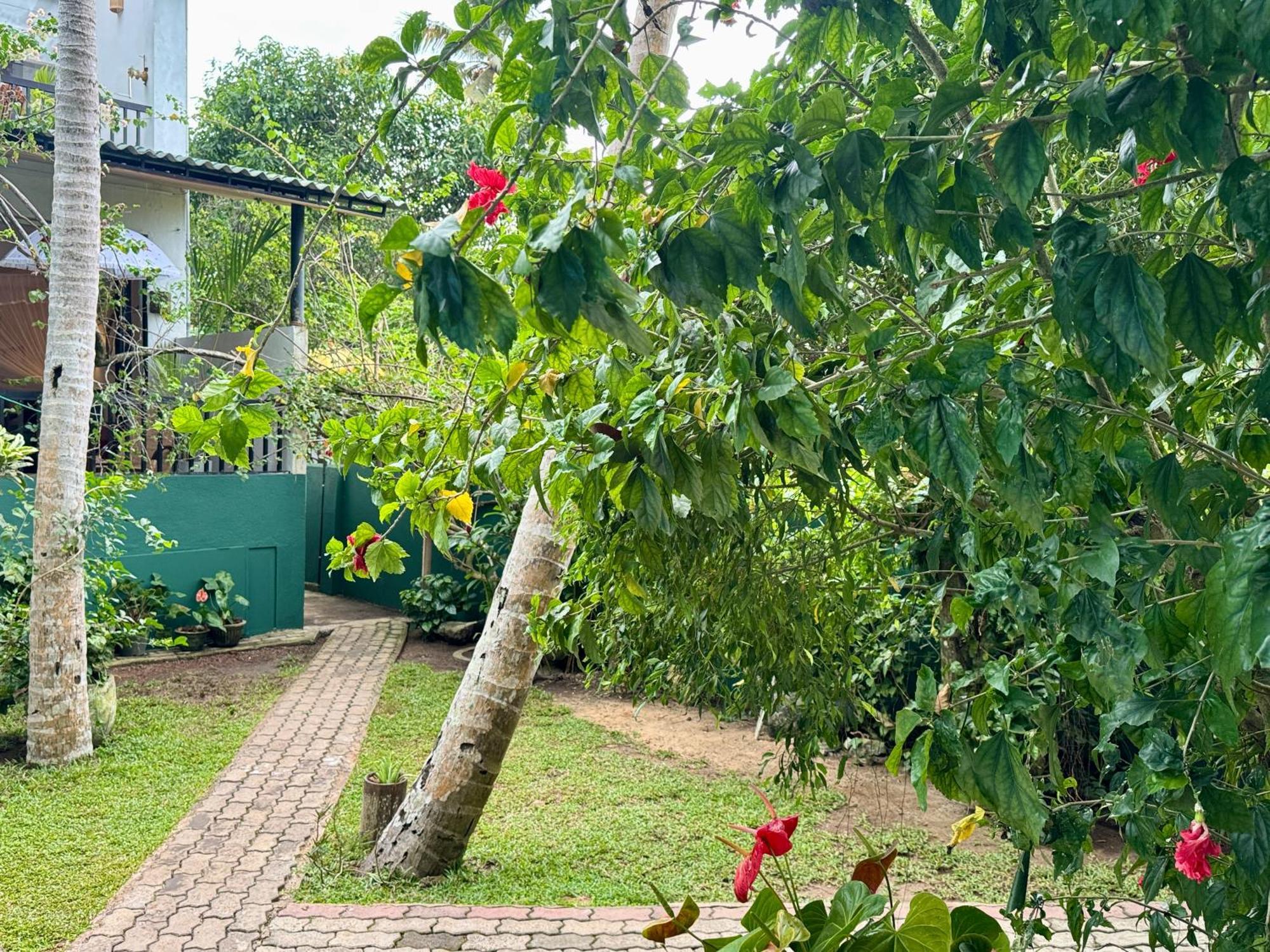 Swastha Ayurveda Villa Hikkaduwa Bagian luar foto